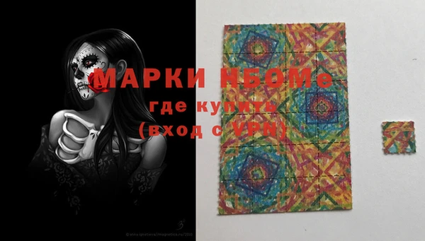 ешки Снежногорск